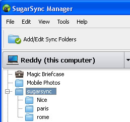 SugarSync Manager
