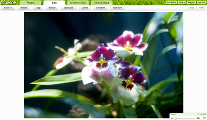 picnik photo editor