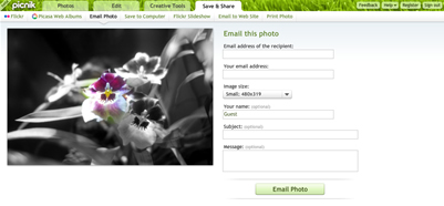 picnik photo editor