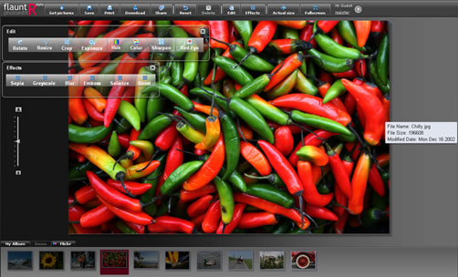 flauntr photoeditr flauntr photoeditr