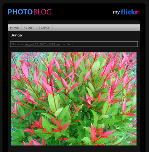 photoblog theme