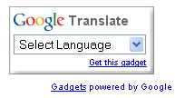 Google Translation Widget