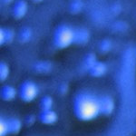 Download Firefox 3 Release Candidate 1