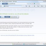 Internet Explorer 8 to have privacy controls