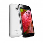 Micromax A110 Canvas 2 to get Jelly Bean Update next week