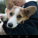 Camera Awesome for Android is in Google Play Store now for $2.99